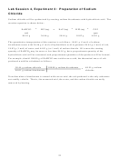 Chemistry Lab Report Template - Lab Session Experiment: Preparation Of Sodium Chloride Printable pdf