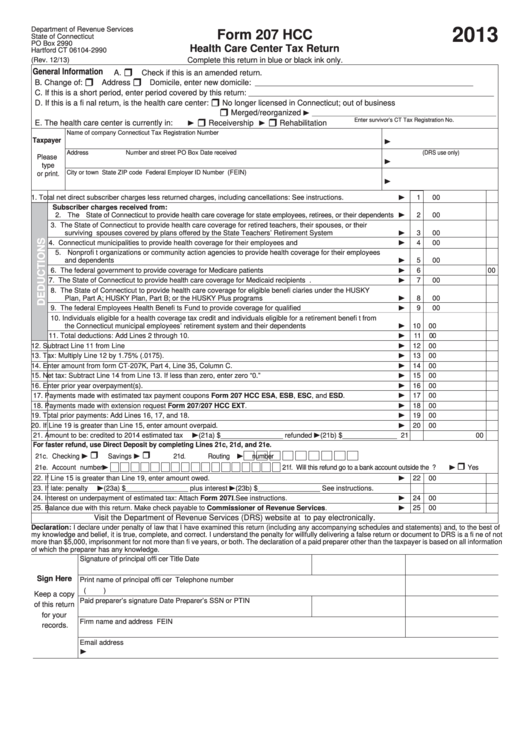 Form 207 Hcc - Health Care Center Tax Return - 2013 Printable pdf