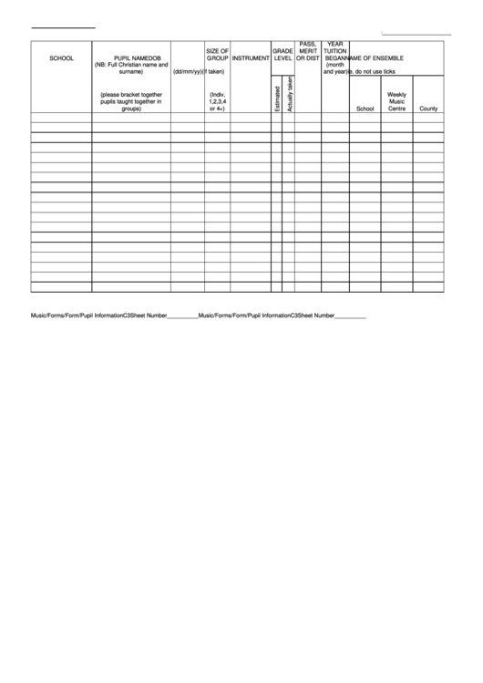 Pupil Information Sheet Printable pdf