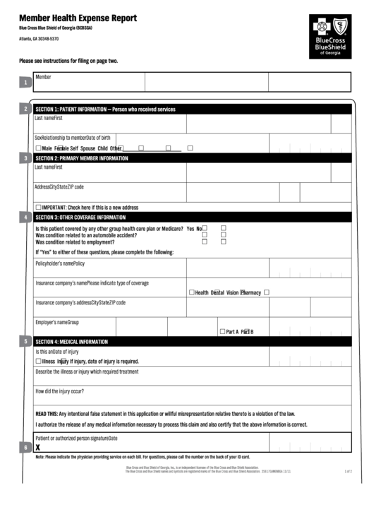 Member Health Expense Report Printable pdf