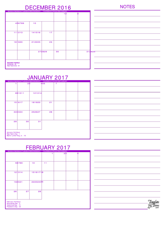 December, January, February 2017 Calendar Template Printable pdf