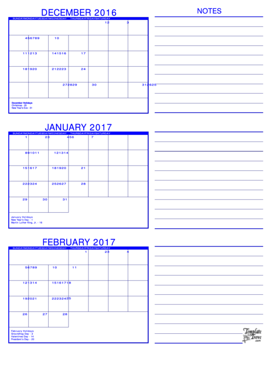 December, January, February 2017 Calendar Template Printable pdf