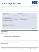 Michigan Pta Audit Report Form