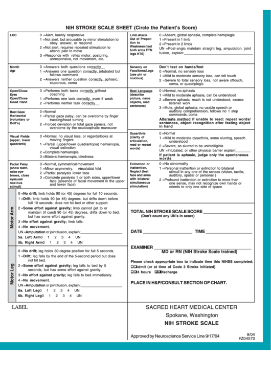 Top Nih Stroke Scale Form Templates Free To Download In PDF Format