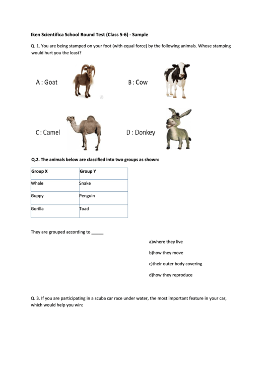 Iken Scientifica School Round Test (Class 5-6) Printable pdf