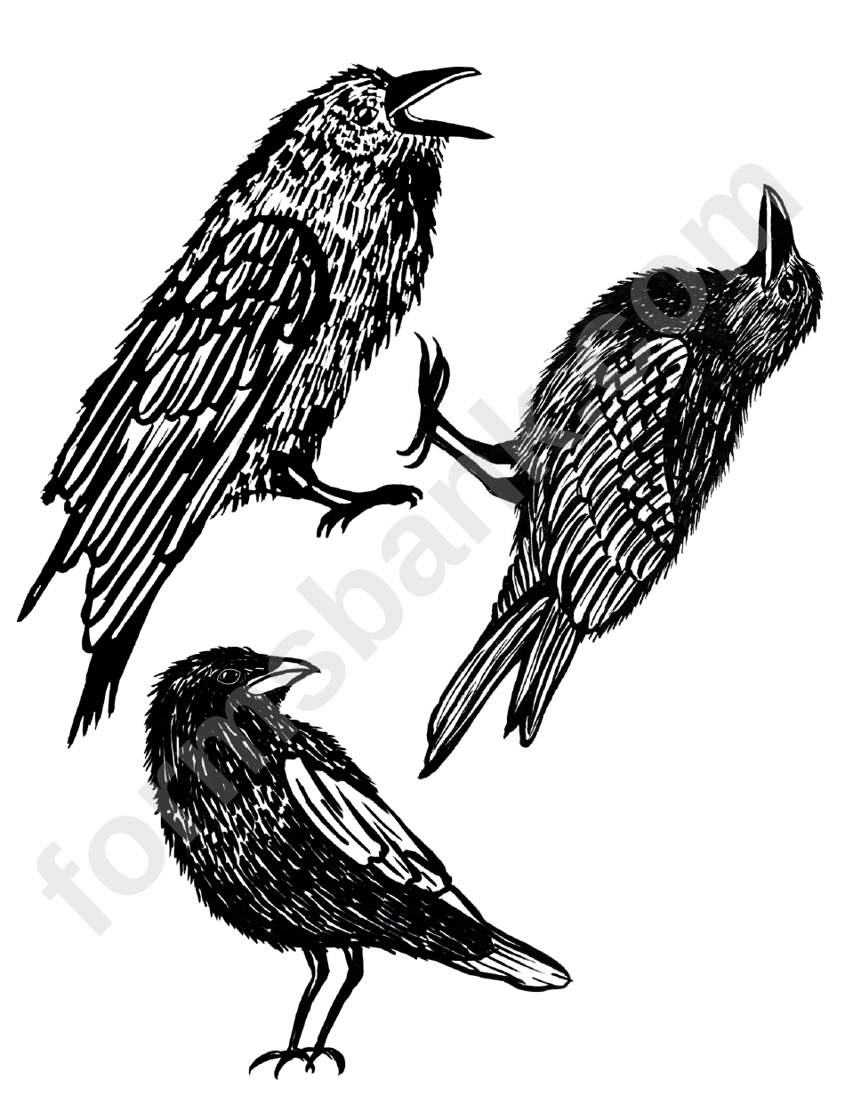 Bird Template - Crow