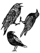 Bird Template - Crow
