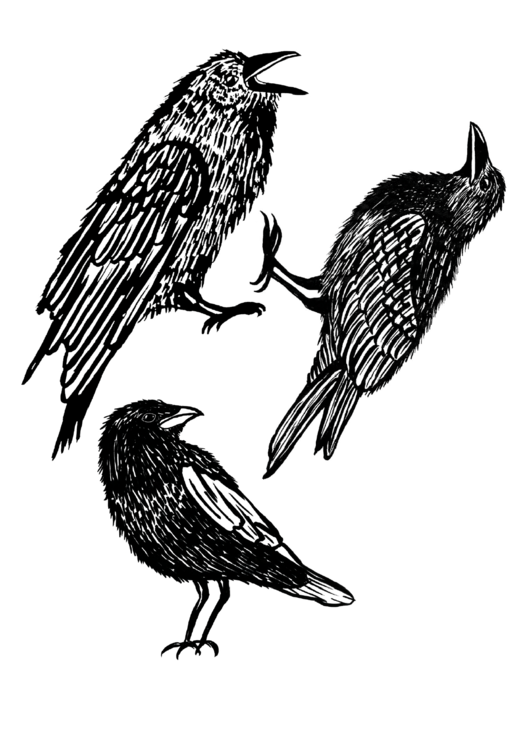 Bird Template - Crow Printable pdf