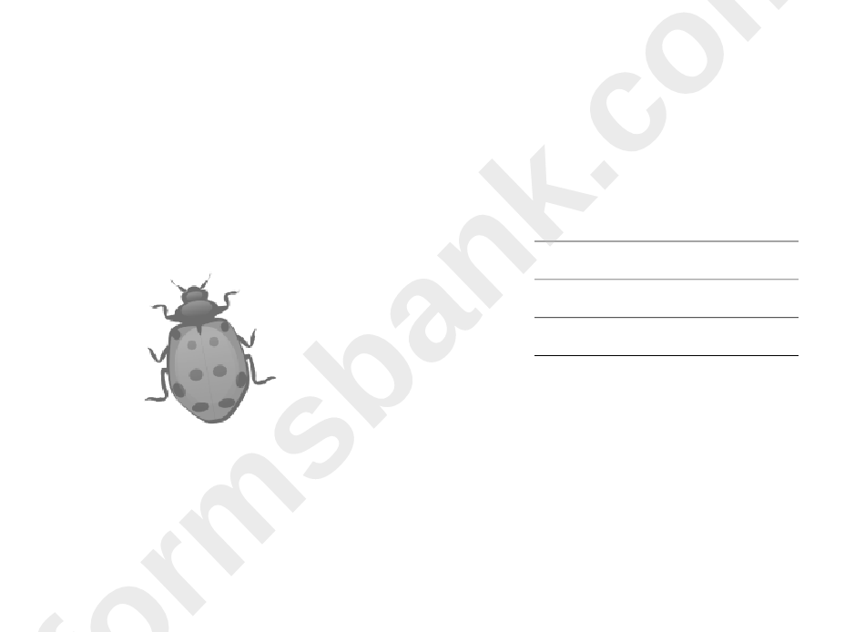 Ladybug Invitation Template