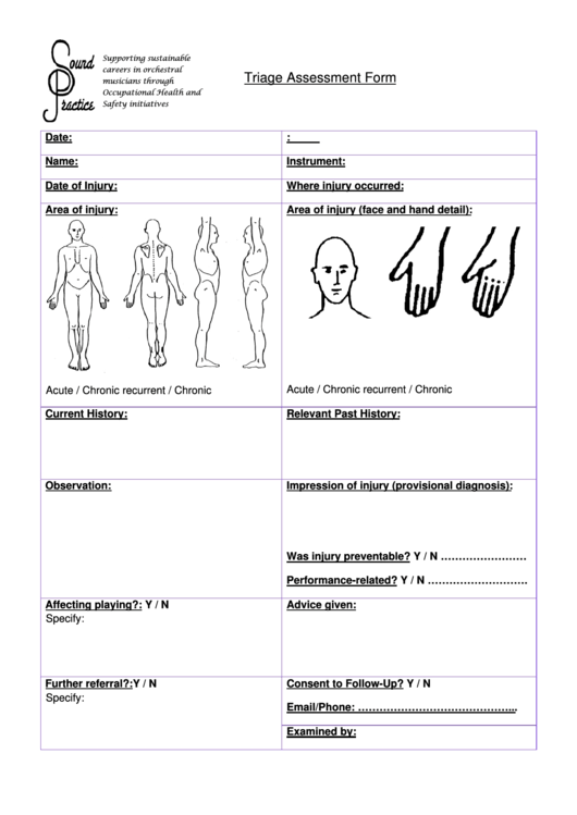 Triage Assessment Form Printable pdf