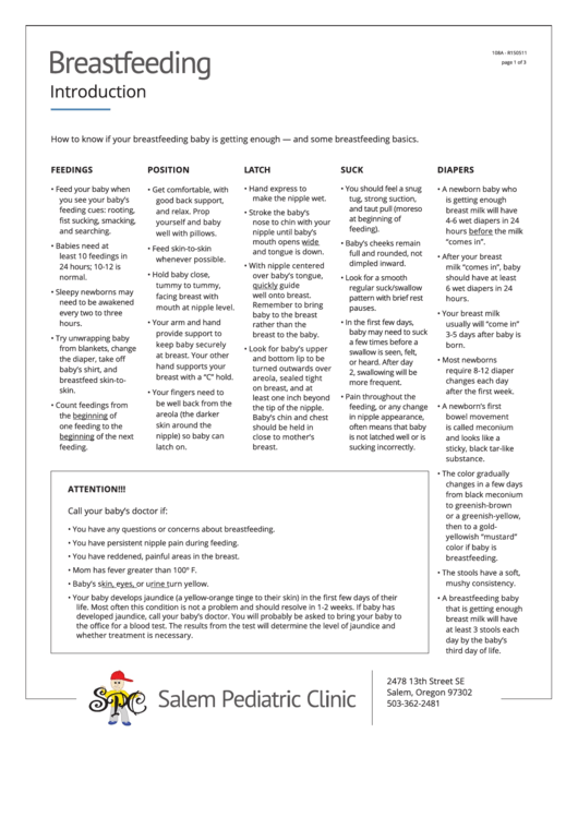 Breastfeeding Daily Checklist Printable pdf