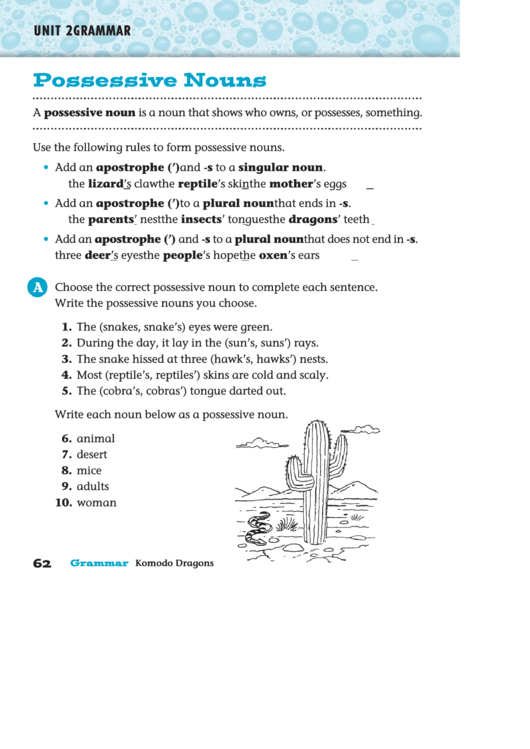Possessive Nouns - English Grammar Worksheet Printable pdf