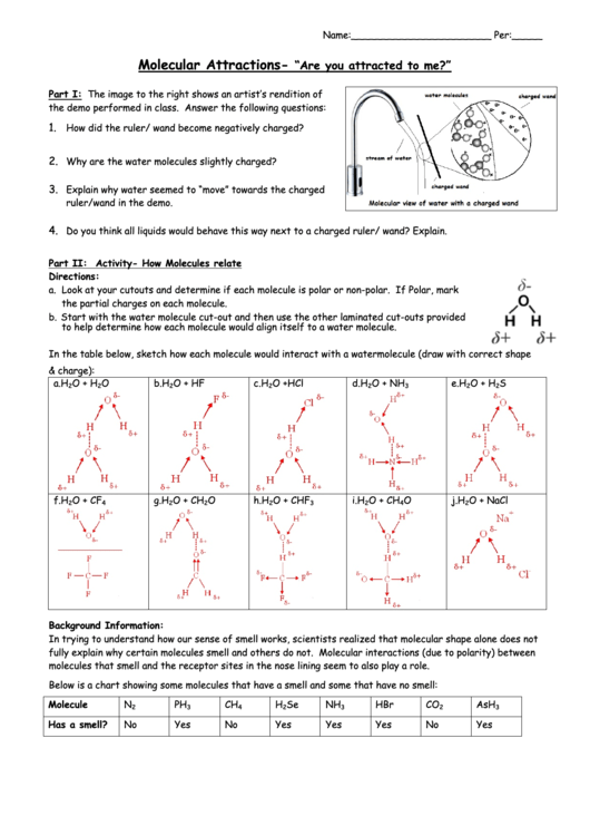 Molecular Attractions - Chemistry Worksheet With Answers Printable pdf
