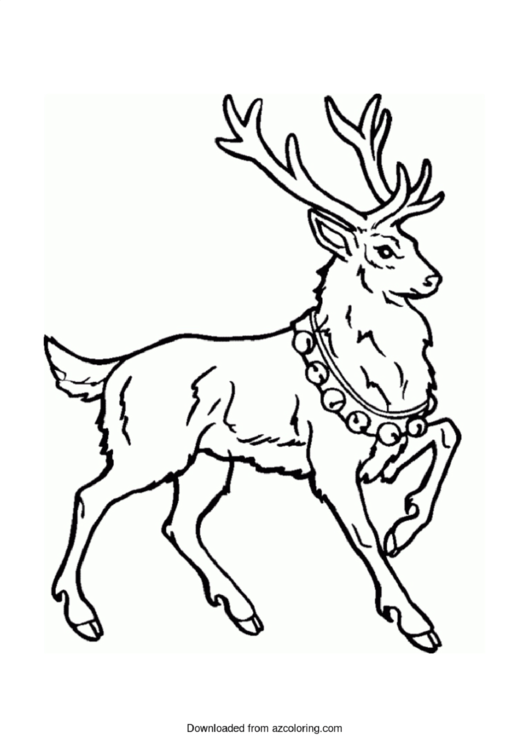 Reindeer Coloring Sheet