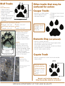 Oregon Department Of Fish And Wildlife - Wolf Tracking Sheet