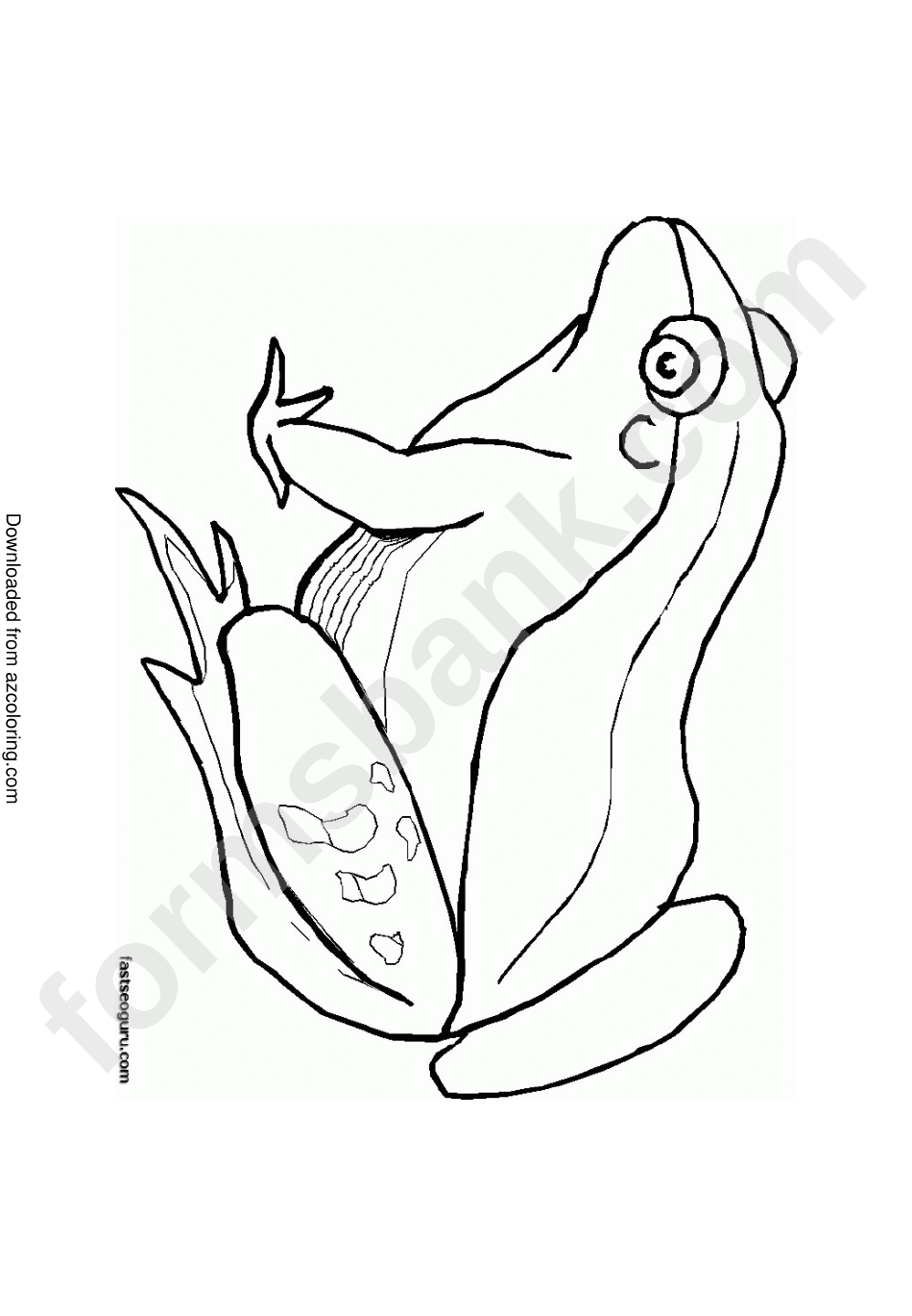 Jungle Animals Coloring Page - Frog