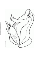 Jungle Animals Coloring Page - Frog