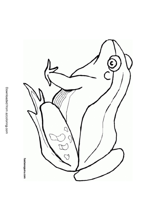 Jungle Animals Coloring Page - Frog Printable pdf