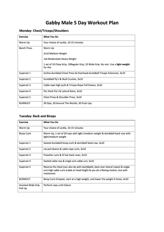 Gabby Male 5 Day Workout Plan Printable pdf