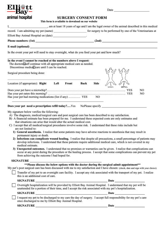 Fillable Surgery Consent Form Printable pdf