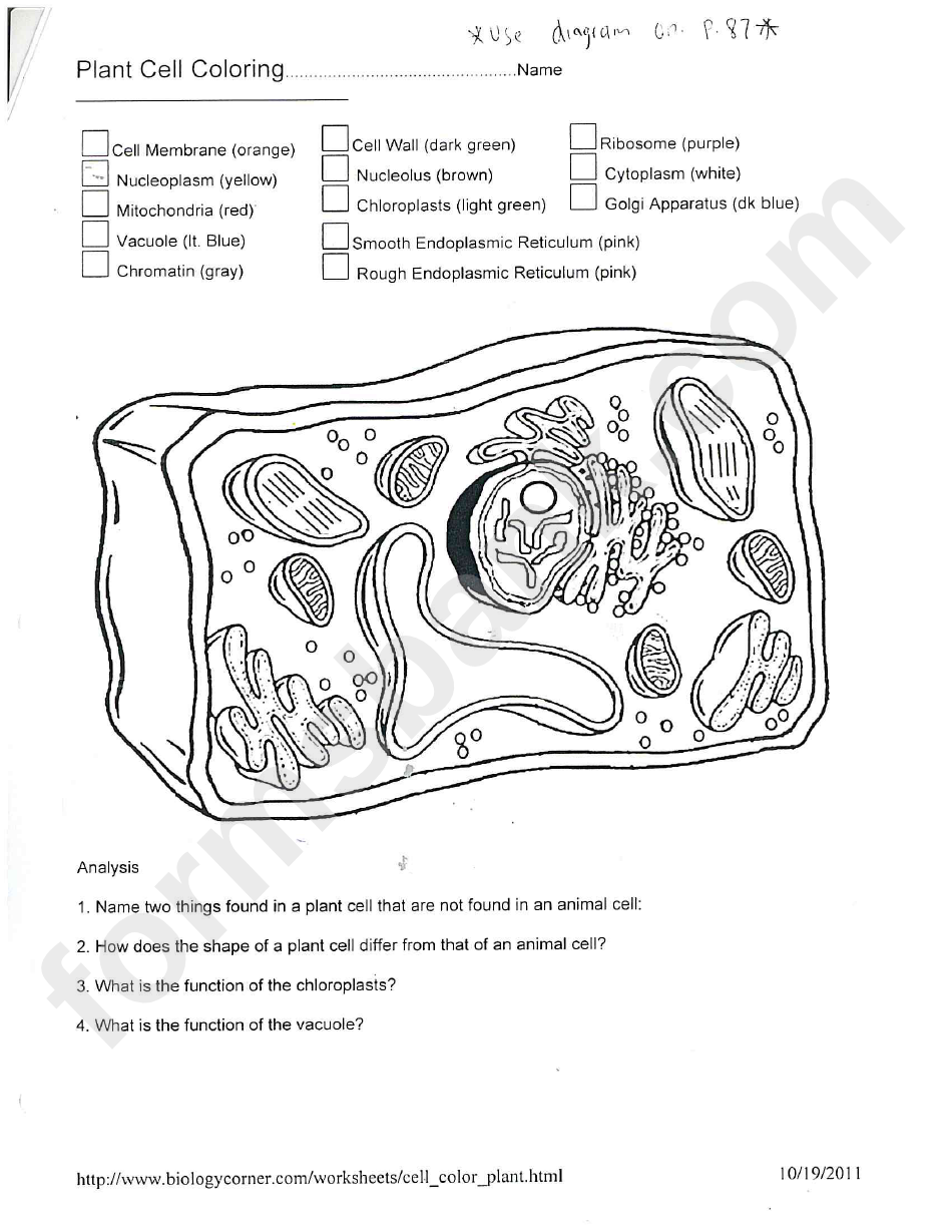 Plant Cell Coloring Worksheet printable pdf download Pertaining To Animal Cells Coloring Worksheet