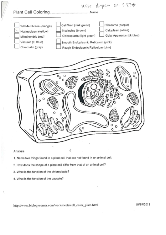 Plant Cell Coloring Worksheet Printable pdf