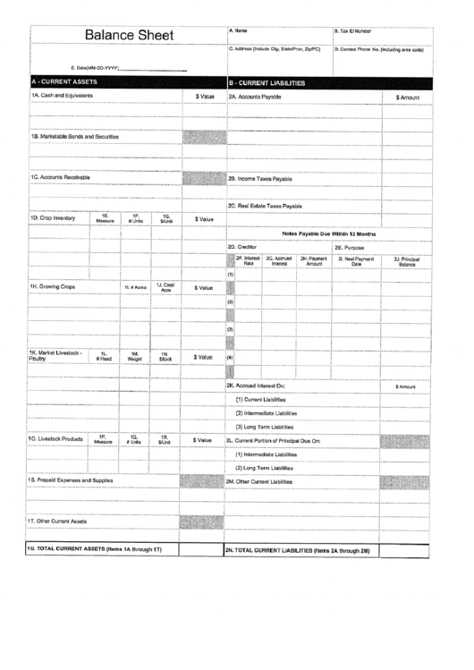 Blank Balance Sheet Template Printable pdf