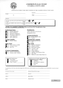 Civil Classifications Form