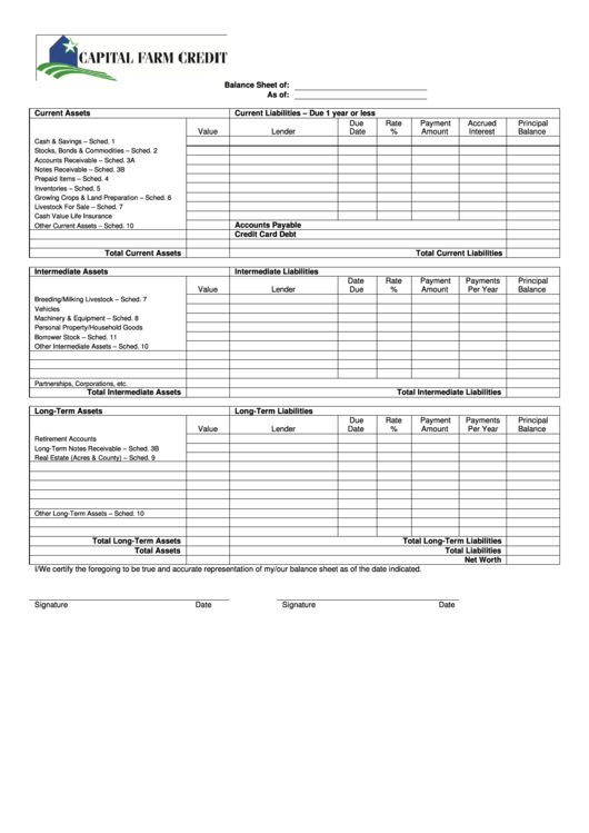 Balance Sheet Blank Printable pdf