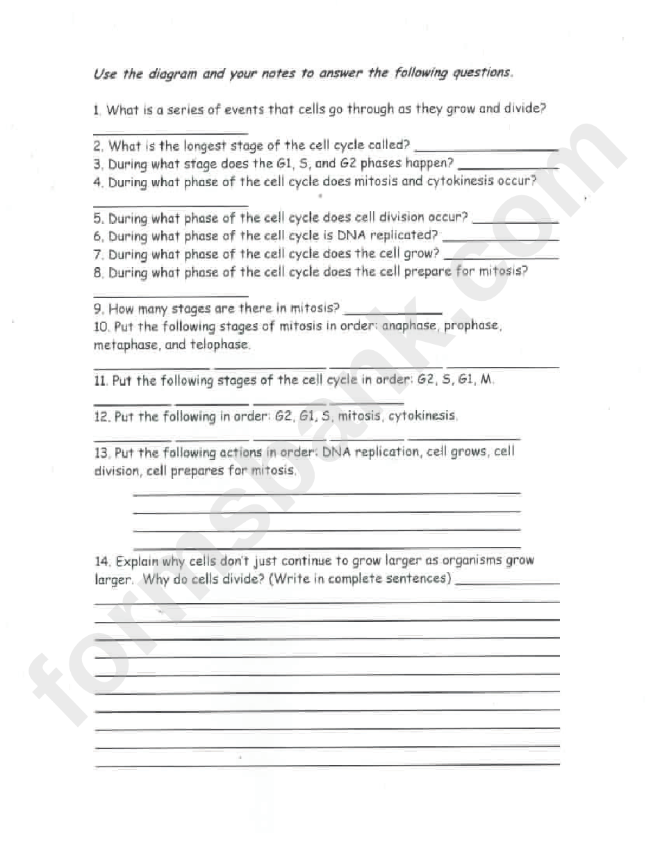 Mitosis Coloring Sheet And Questions