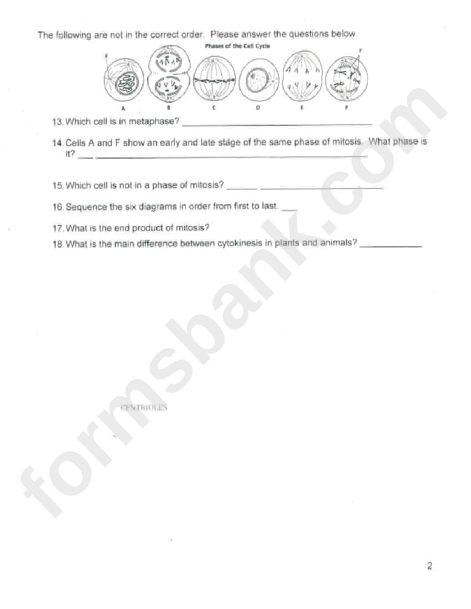 Mitosis Coloring Sheet And Questions