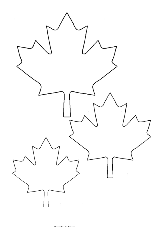 Maple Leaf Template