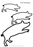 Multiple Sizes Pig Templates