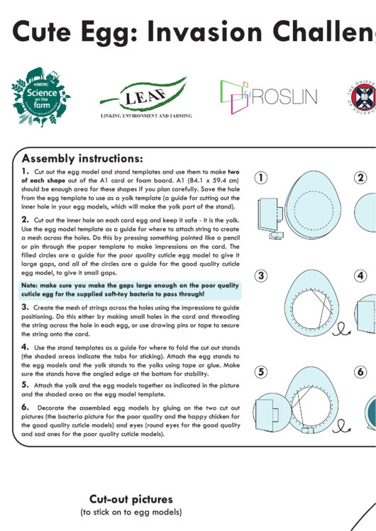 Egg Model Template Printable pdf