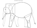Indian Elephant Template