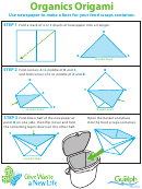 Organics Origami Worksheet