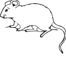 Mouse Coloring Page