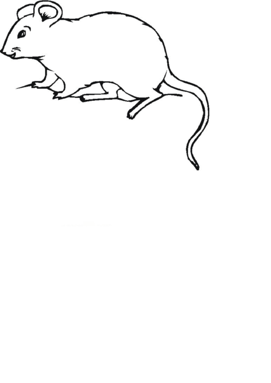 Mouse Coloring Page Printable pdf