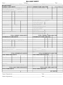 Fsa Type Balance Sheet (farm)