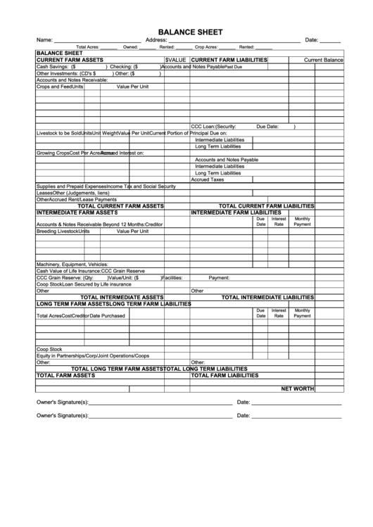Fsa Type Balance Sheet (Farm) Printable pdf