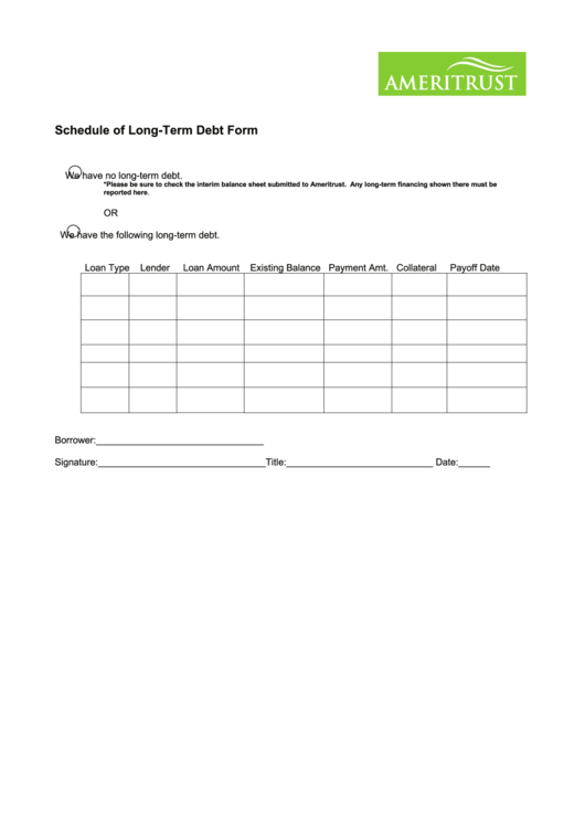 Schedule Of Long-Term Debt Form Printable pdf