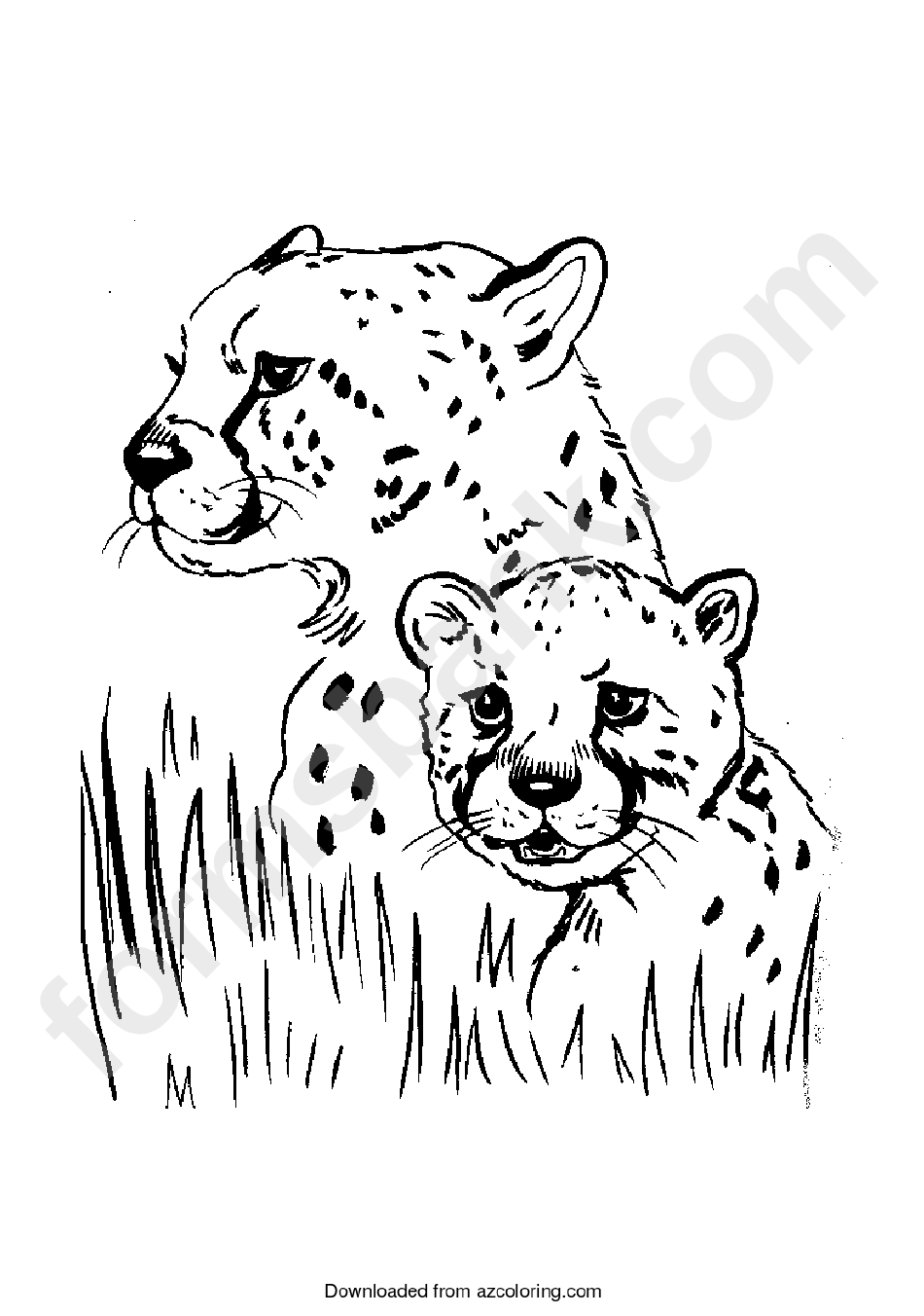 Cheetah Coloring Sheet