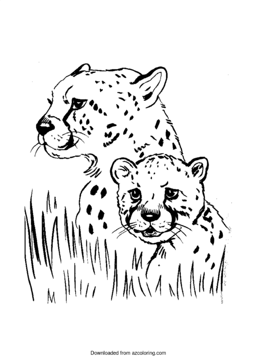 Cheetah Coloring Sheet Printable pdf
