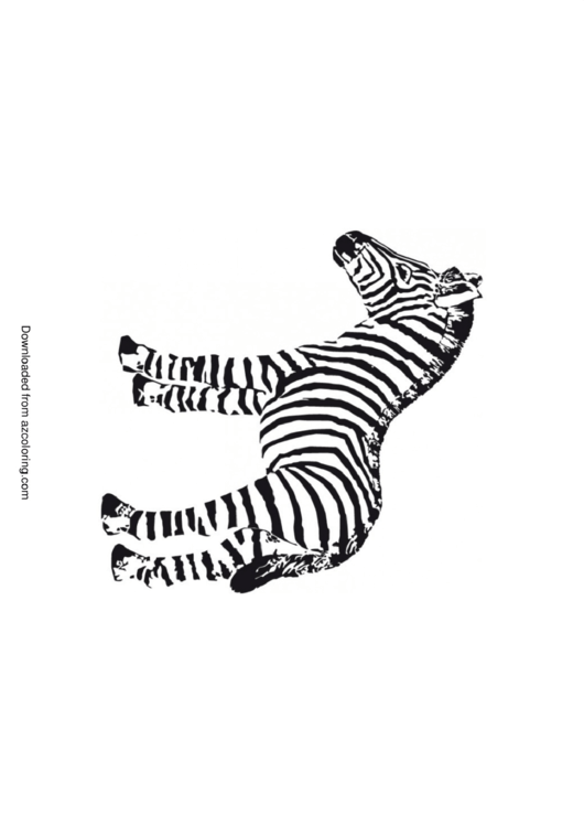 Zebra Coloring Page Template Printable pdf