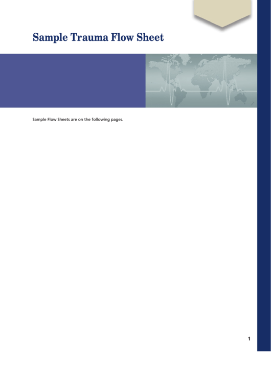 Sample Trauma Flow Sheet Printable pdf