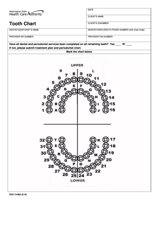 Hcatooth Chart Printable pdf