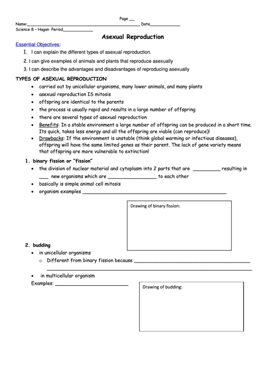 Asexual Reproduction Worksheet Printable pdf