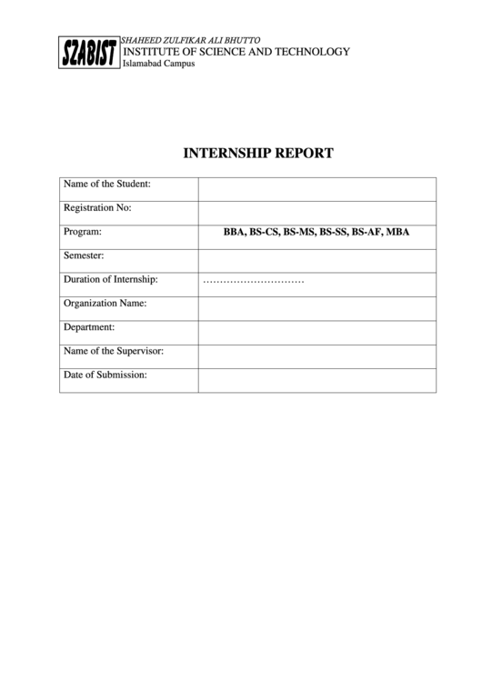 Internship Report Template Printable pdf