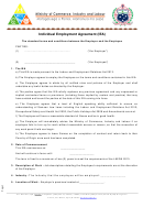 Individual Employment Agreement Template