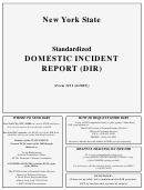 Domestic Incident Report